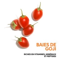 Shampooing Nutri Enrich Invigo Wella 1000ml 11 Shampooing Nutri Enrich Invigo Wella 1000ml -Produits Capillaires 112.12 4 46281.1693903496