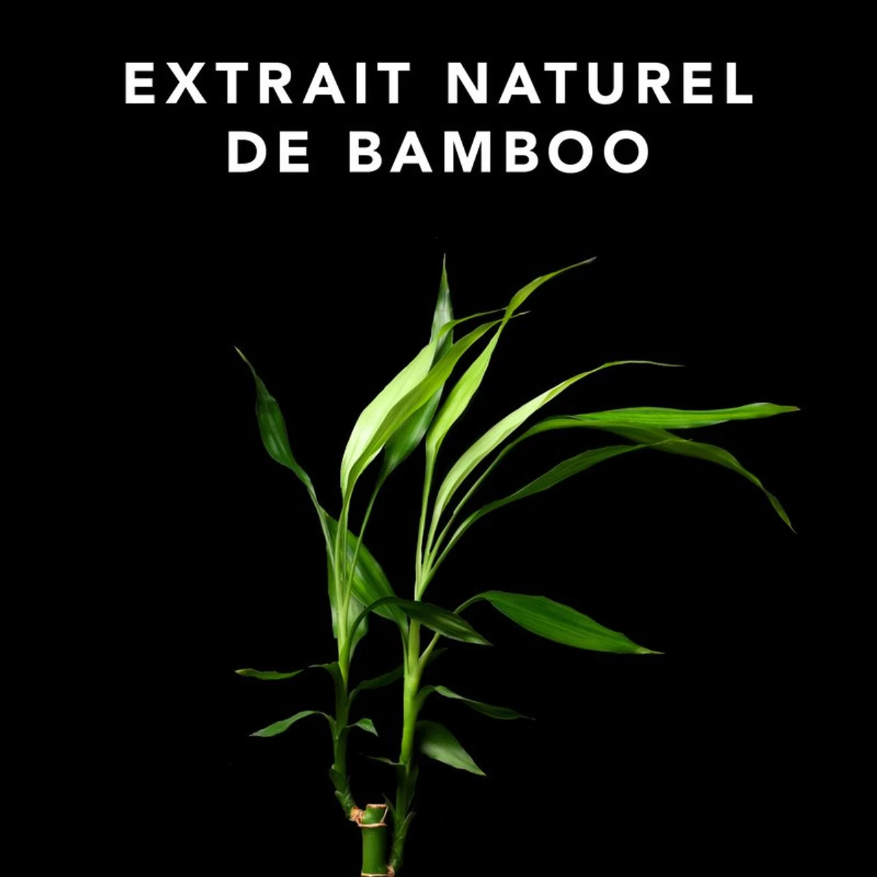 Soin Volupt Conditioner 1000ml 4 Soin Volupt Conditioner 1000ml – Image 2