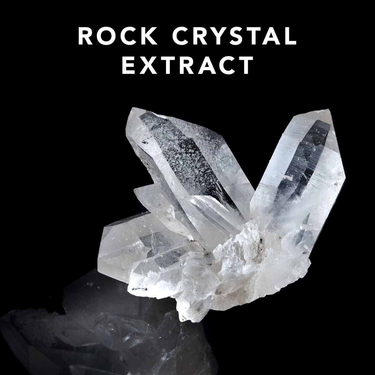 Shine Define Sebastian 200ml 6 Shine Define Sebastian 200ml â Image 4