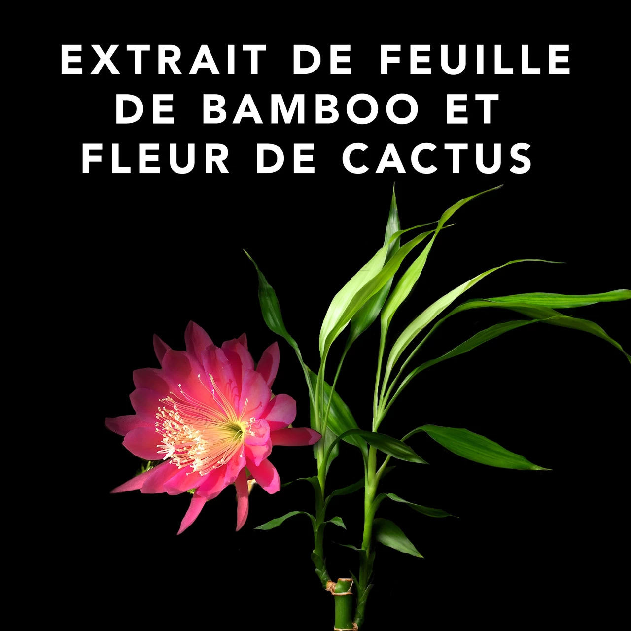 Volupt Spray Sebastian 150ml 4 Volupt Spray Sebastian 150ml â Image 3