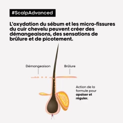 Shampooing Anti-Inconfort Scalp Advanced L'Oréal 1500ml -Produits Capillaires scalp adavanced antiinconfort 17500.1684847770